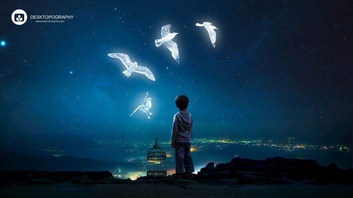 Boy watches glowing birds fly from a cage at night