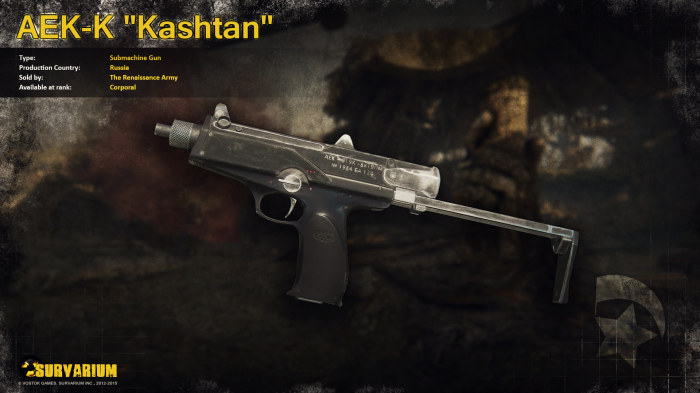 AEK-K "Kashtan" Submachine Gun from Survarium