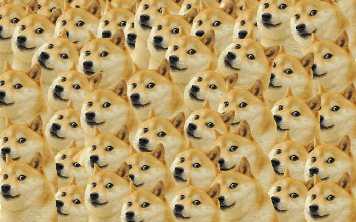 Doge
