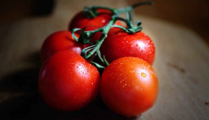 Still life of tomatoes on a vine
