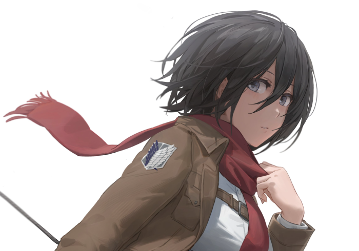 Mikasa Ackerman from Attack on Titan