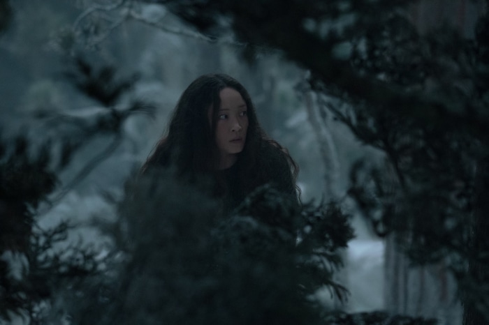 Havana Rose Liu in a snowy forest
