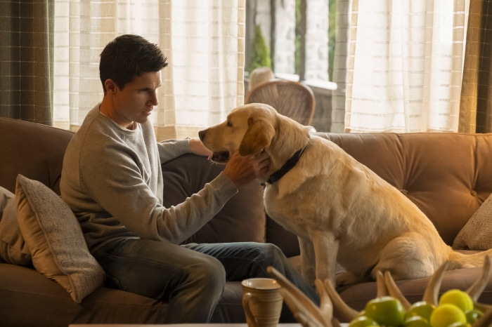 Robbie Amell with a dog on a couch
