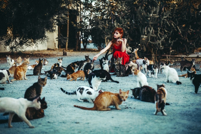 Woman in red dress feeding cats outdoors