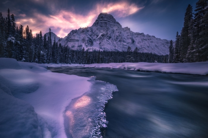 Winter Mountain River with Snow and Trees