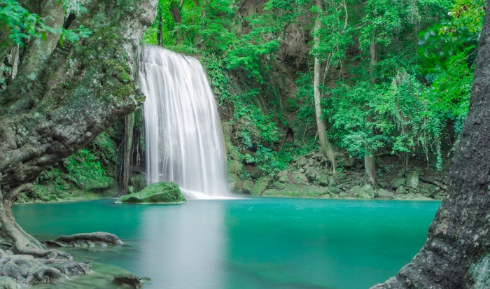 Waterfall in a lush green forest 4K