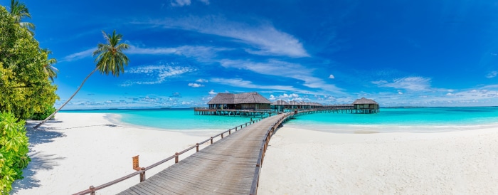Tropical beach with overwater bungalows and palm trees