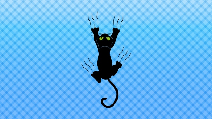Black cat scratching blue checkered background