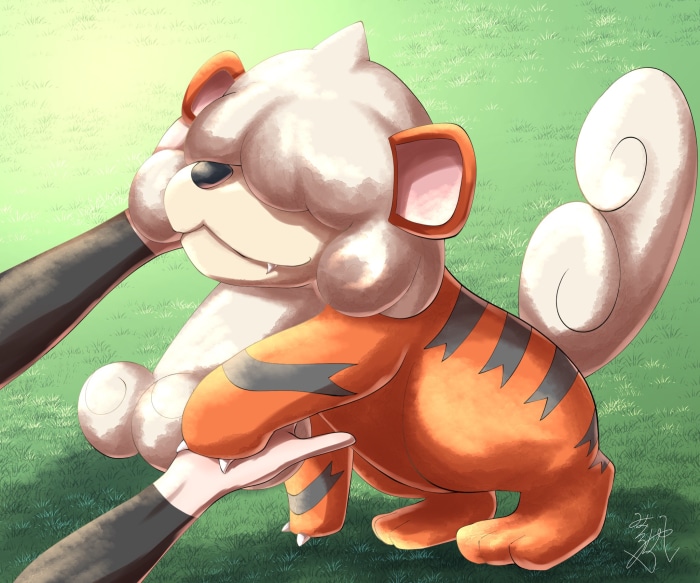 Growlithe from Pokémon Legends: Arceus
