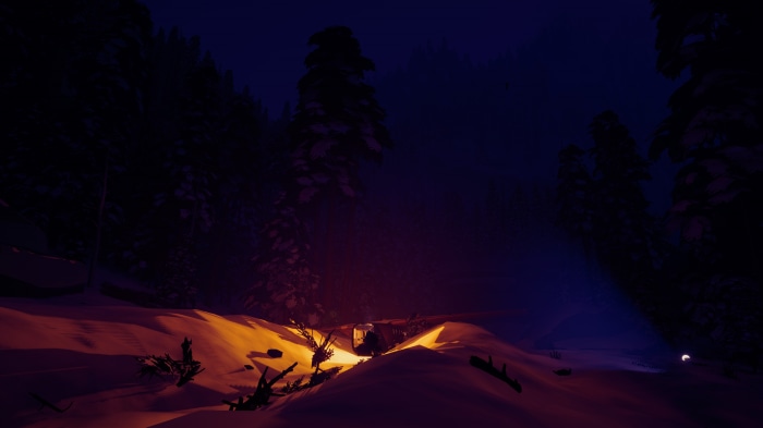 Plane Crash in Snowy Forest at Night