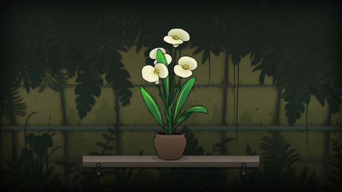 Strange Horticulture potted plant