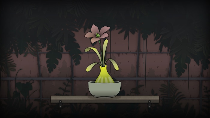 Strange Horticulture flower in a pot