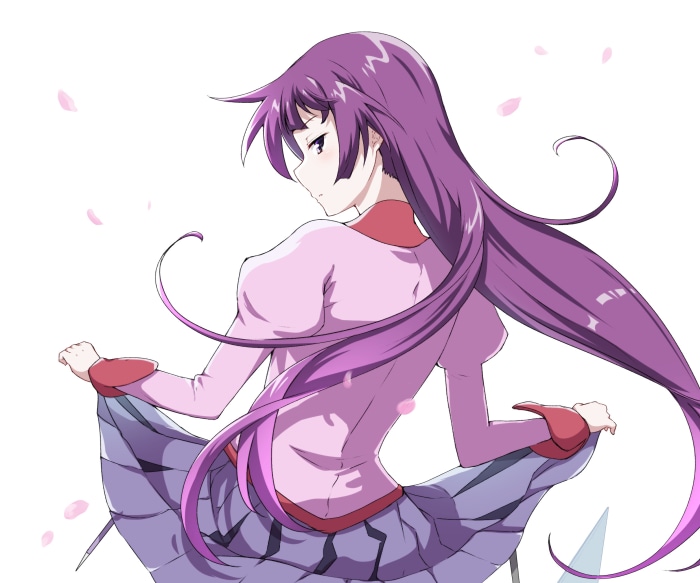 Hitagi Senjōgahara from Monogatari Series