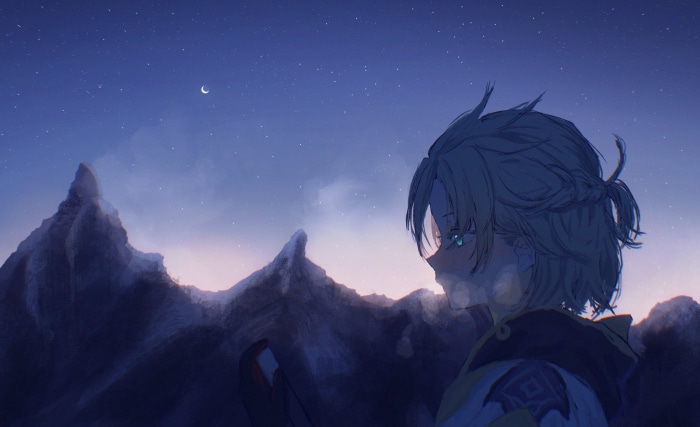 Albedo from Genshin Impact looking at the night sky