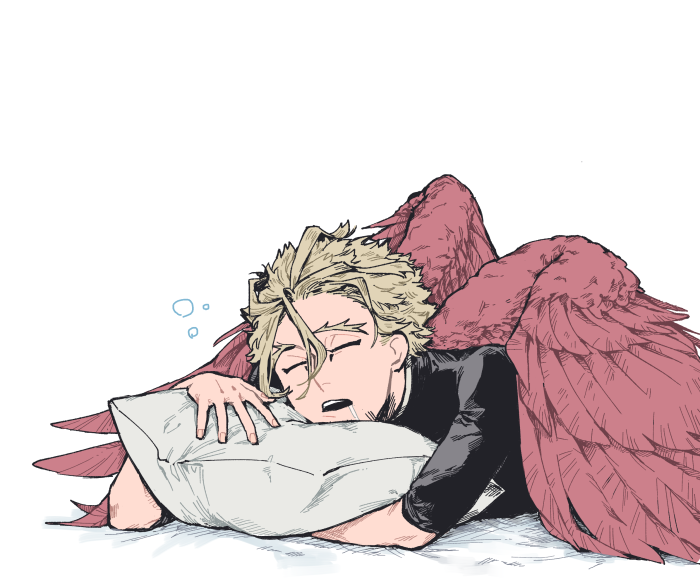 Hawks sleeping on a pillow from My Hero Academia