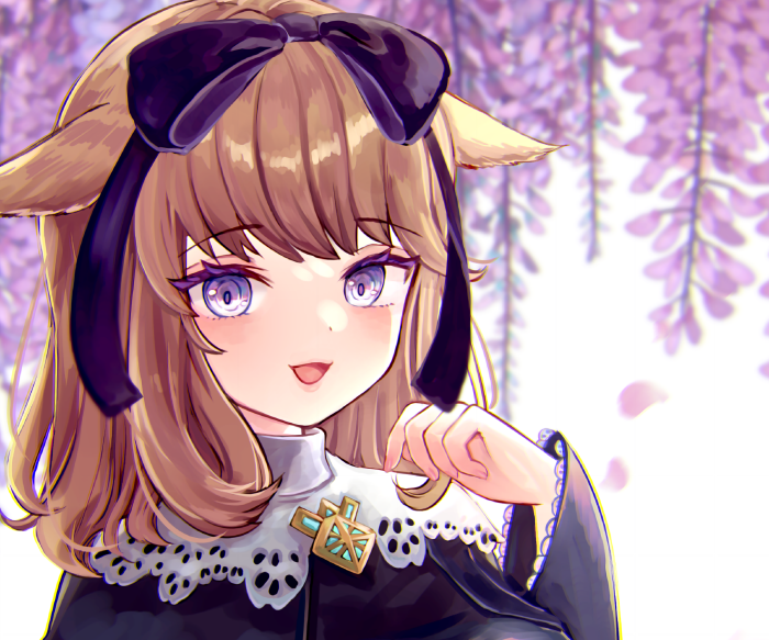 Miqote from Final Fantasy XIV