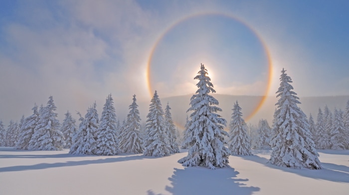 Sun Halo over Snowy Fir Trees in Ore Mountains, Germany
