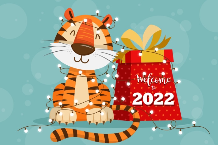 Tiger with Lights and Gift for 2022
