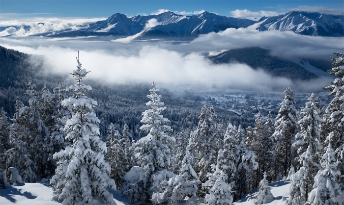 Winter Landscape with Snow-Covered Trees and Mountains