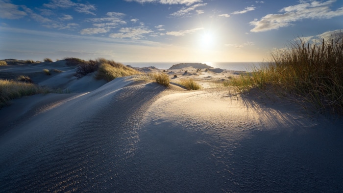 Sand dunes at sunrise with ocean in background