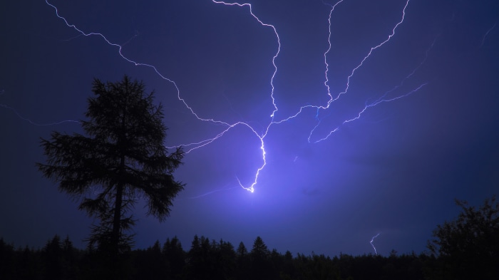 Lightning strikes over a forest at night
