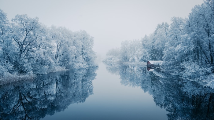 Winter river with fog and snow-covered trees