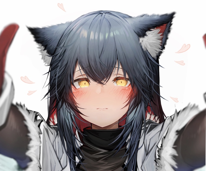 Texas from Arknights