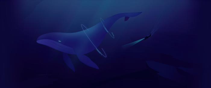 A diver observes a blue whale in the deep ocean