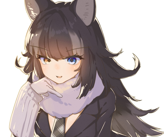 Grey Wolf from Kemono Friends with Heterochromia