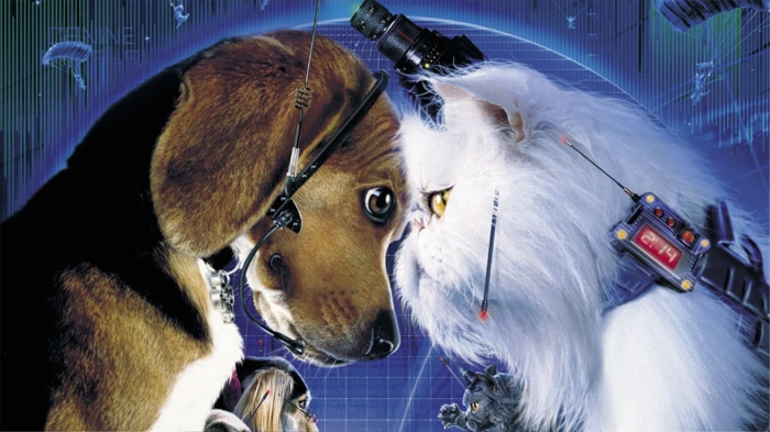 Cats & Dogs movie poster