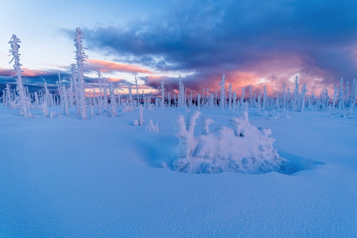 Winter landscape with snow-covered trees in Czech Republic