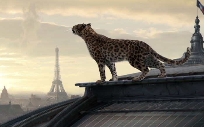 Jaguar on a Paris rooftop with Eiffel Tower