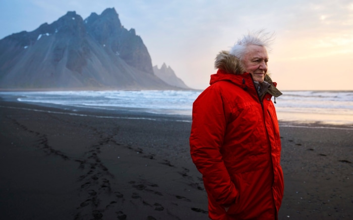David Attenborough on a beach in Iceland