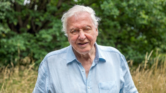 David Attenborough from A Perfect Planet 4K