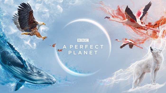BBC A Perfect Planet