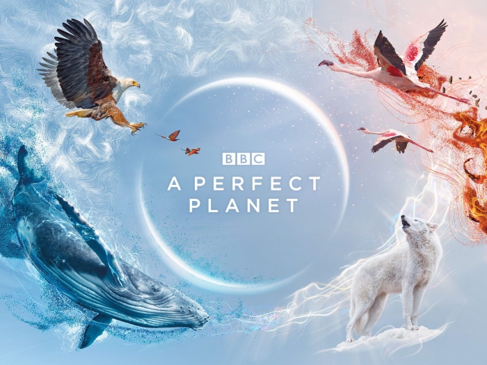 A Perfect Planet BBC