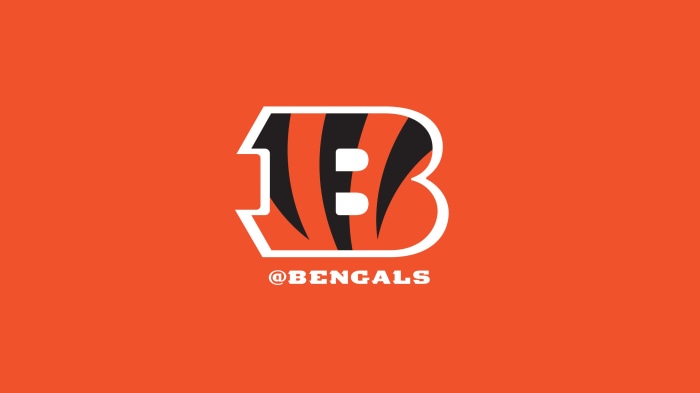 Cincinnati Bengals logo with text