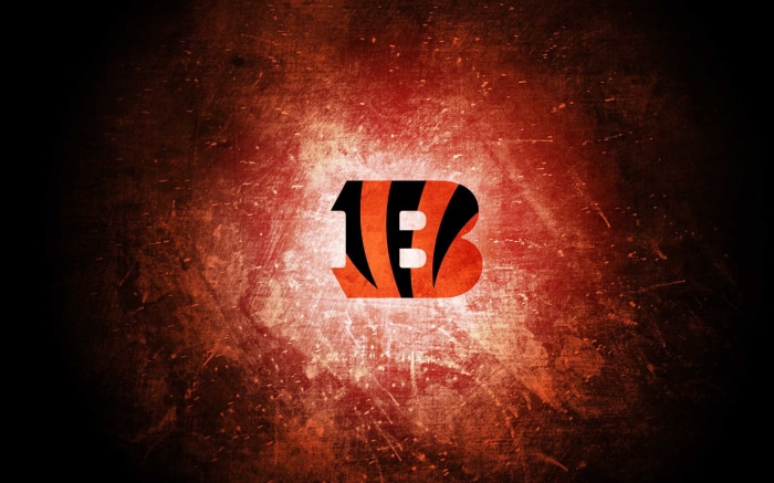 Cincinnati Bengals Team Logo Art