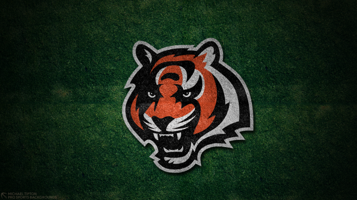 Cincinnati Bengals 4K, HD Wallpaper | Rare Gallery