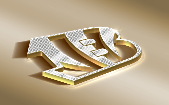 Cincinnati Bengals Logo 3D Design