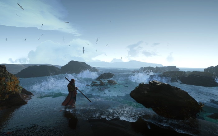 Man with staff on rocky shore with waves and birds