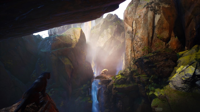 Panther and lion in a rocky canyon with waterfalls