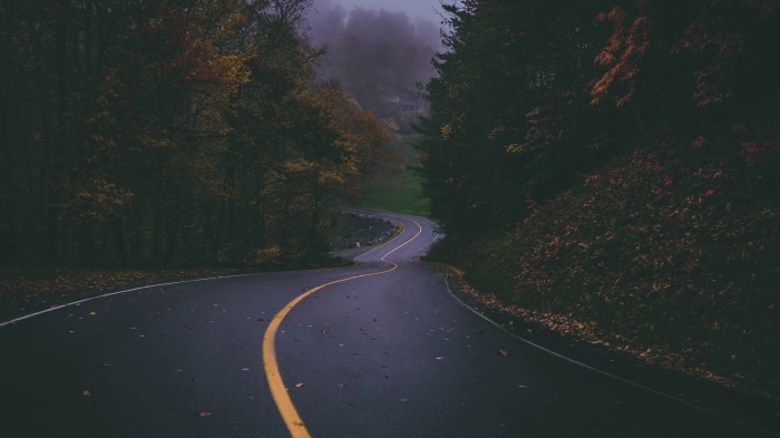 Winding Road Through Forest in Autumn