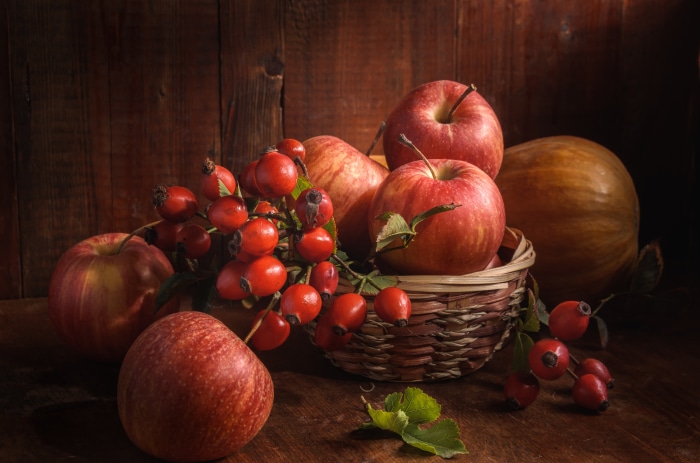 Still life with apples, rose hips, and pumpkin