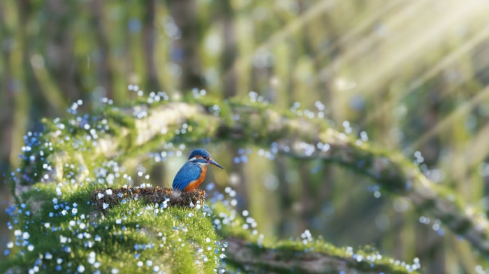 Kingfisher perched on mossy branch with sunbeams