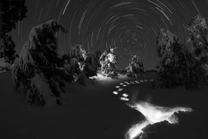 Star Trails Over Snowy Forest at Night