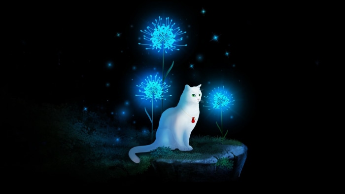 White cat with glowing flowers