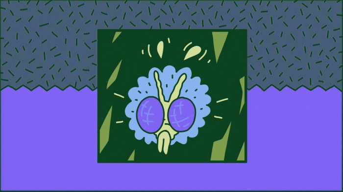 Grounded