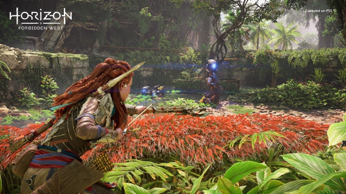 Aloy from Horizon Forbidden West 4K