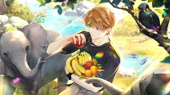Minase Natsuhiko from Tears Of Themis with elephants and fruit